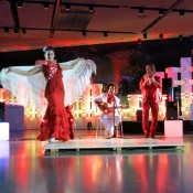 Espectaculos flamenco para cenas