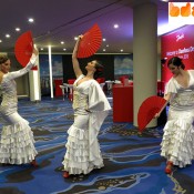 Bdance danseuses Flamenco