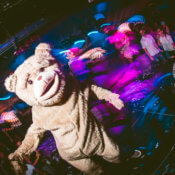 Teddy bear for events