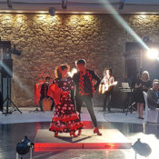 Espectáculos flamenco para eventos