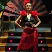 Flamenco dancer Style