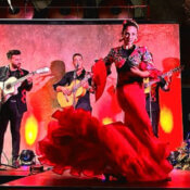 Flamenco corporate diner shows