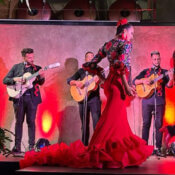 Flamenco events performance