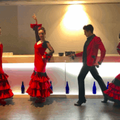 Flamenco Show MICE Events