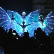 Show con alas LED
