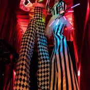 Zancudos Venecia Madrid